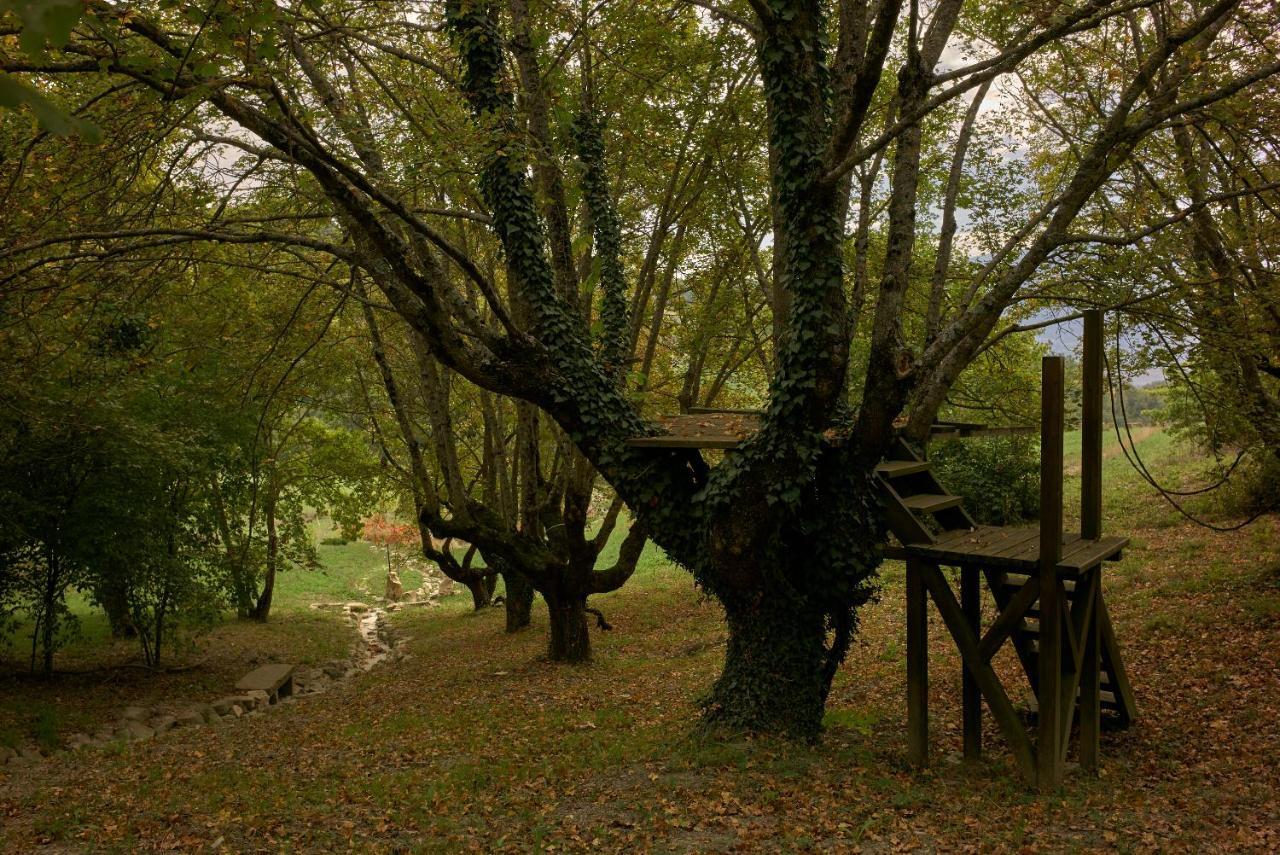 Incantico "Eco Resort" Assisi Buitenkant foto
