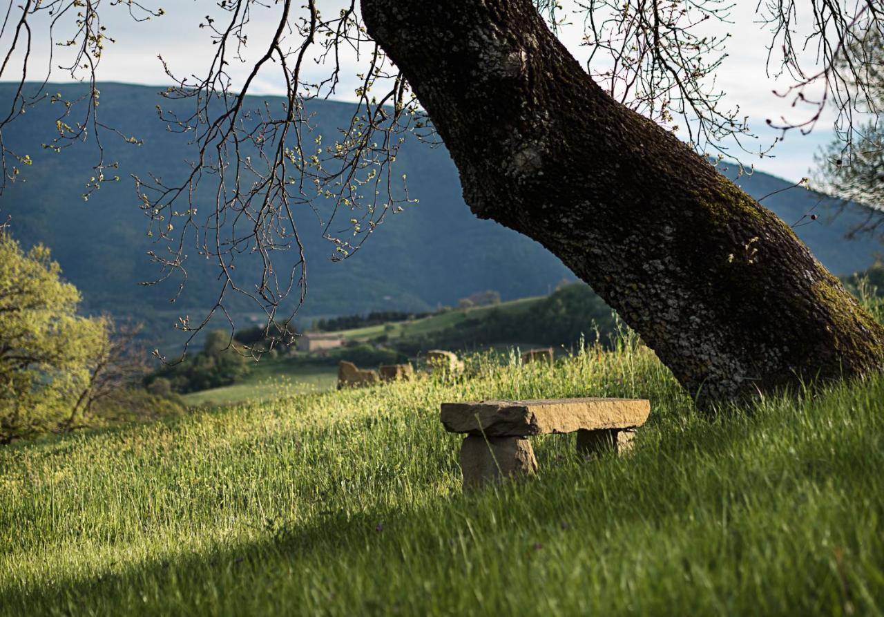 Incantico "Eco Resort" Assisi Buitenkant foto